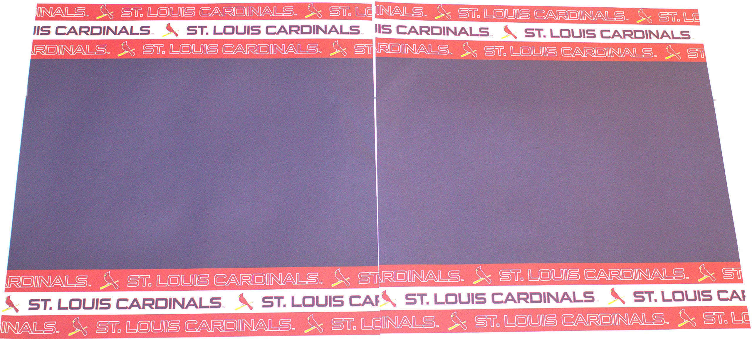 St. Louis Scrapbook Kit - 16 Illustrated Pages & 10 Protective Page Sleeves, 12