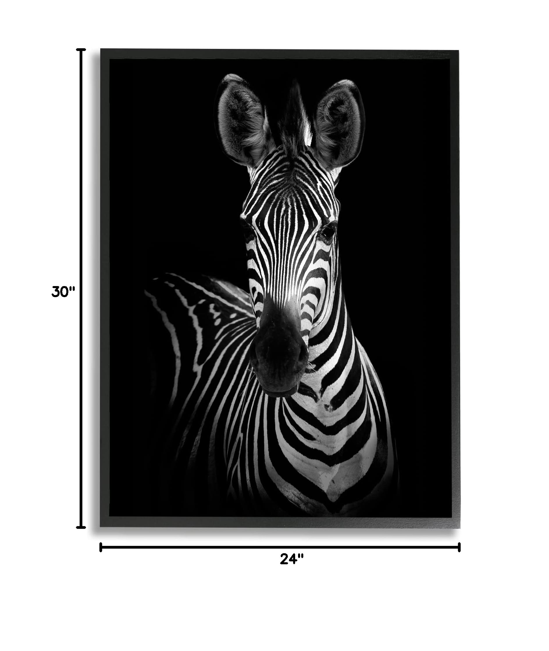 Stupell Industries Black and White Zebra Photography Portrait Wall Art - Stunning Monochrome Wildlife Decor for Living Room, Bedroom & Office