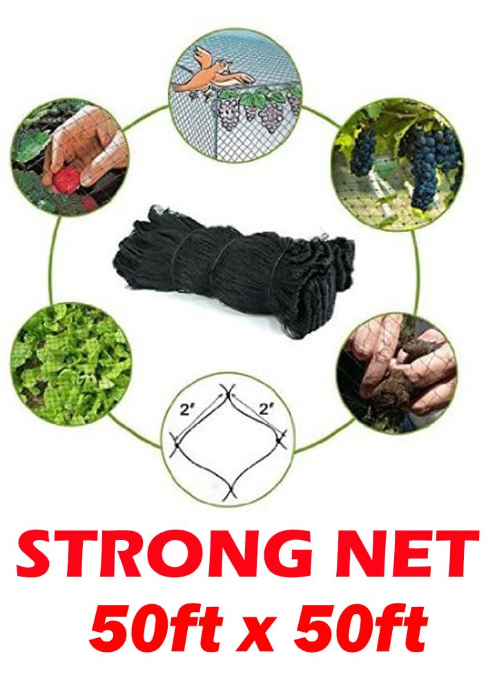 50' x 50' 2-Inch Square Mesh Heavy Duty Bird Netting - Poultry Aviary, Game Pens & Garden Protection - Durable Anti-Bird Net for Chicken Coops, Fruit Trees & Backyard Security