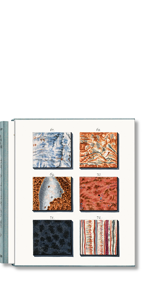 Jan Christiaan Sepp The Book of Marble | Antique Natural History Book | Rare Collectible Edition for Home Decor & Library Display