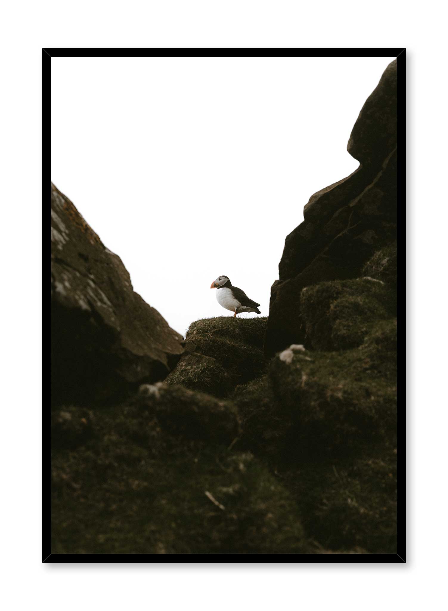 Puffin Portrait Poster - Stunning Wildlife Wall Art for Home & Office Decor - Perfect for Living Room, Bedroom, or Gift