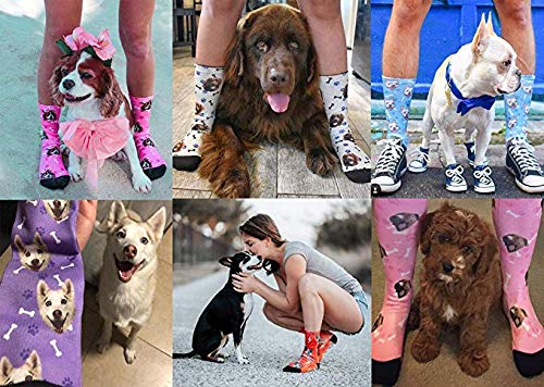 Custom Photo Socks - Personalized with Your Image | Blue Dog Paw Design | Unisex Gift for Birthdays, Anniversaries & Special Occasions