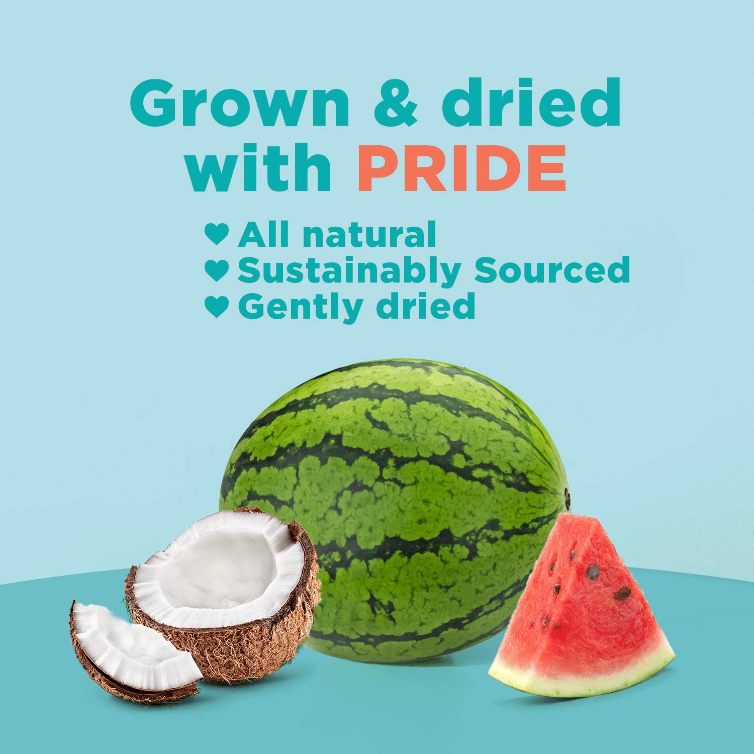Organic Coco-Melon Dried Fruit Snacks - Superfood Blend with Coconut & Watermelon | High Fiber, Vegan, Paleo, Non-GMO | 2.75oz Pack of 6 | Healthy On-the-Go Snack for Work, School & Travel