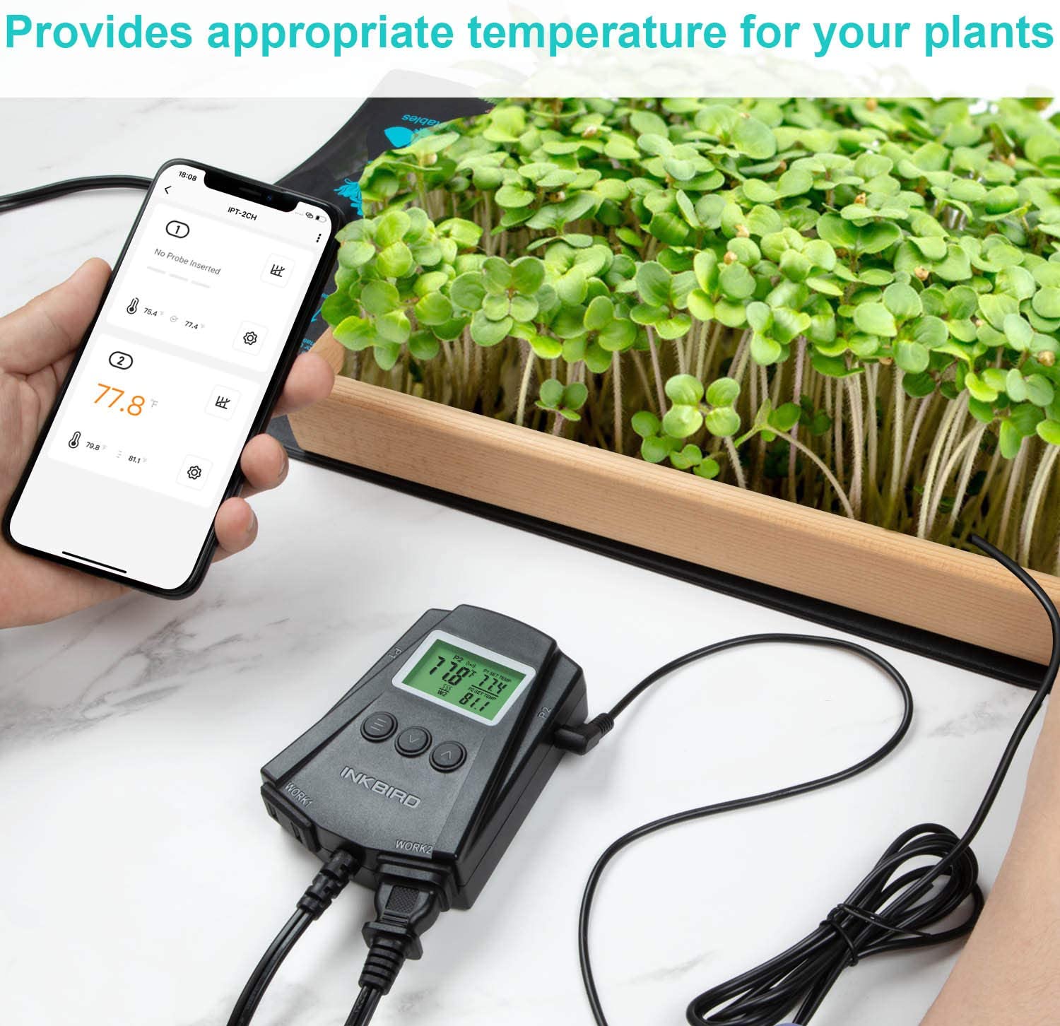 IPT 2CH Dual Channel Digital Temperature Controller - Precise Thermostat for Home Brewing, Aquariums & Reptile Tanks
