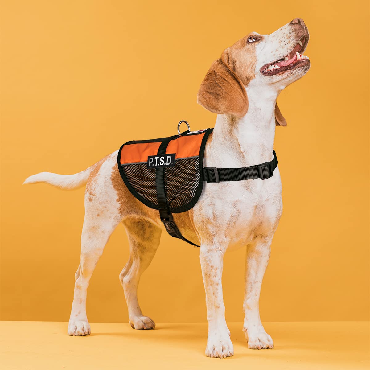 Dogline MaxAire Mesh Cooling Vest for Dogs - Breathable Dog Vest with 2 Removable PTSD Patches (13-16 Inch, Orange) - Perfect for Hot Weather, Outdoor Activities & Service Dogs