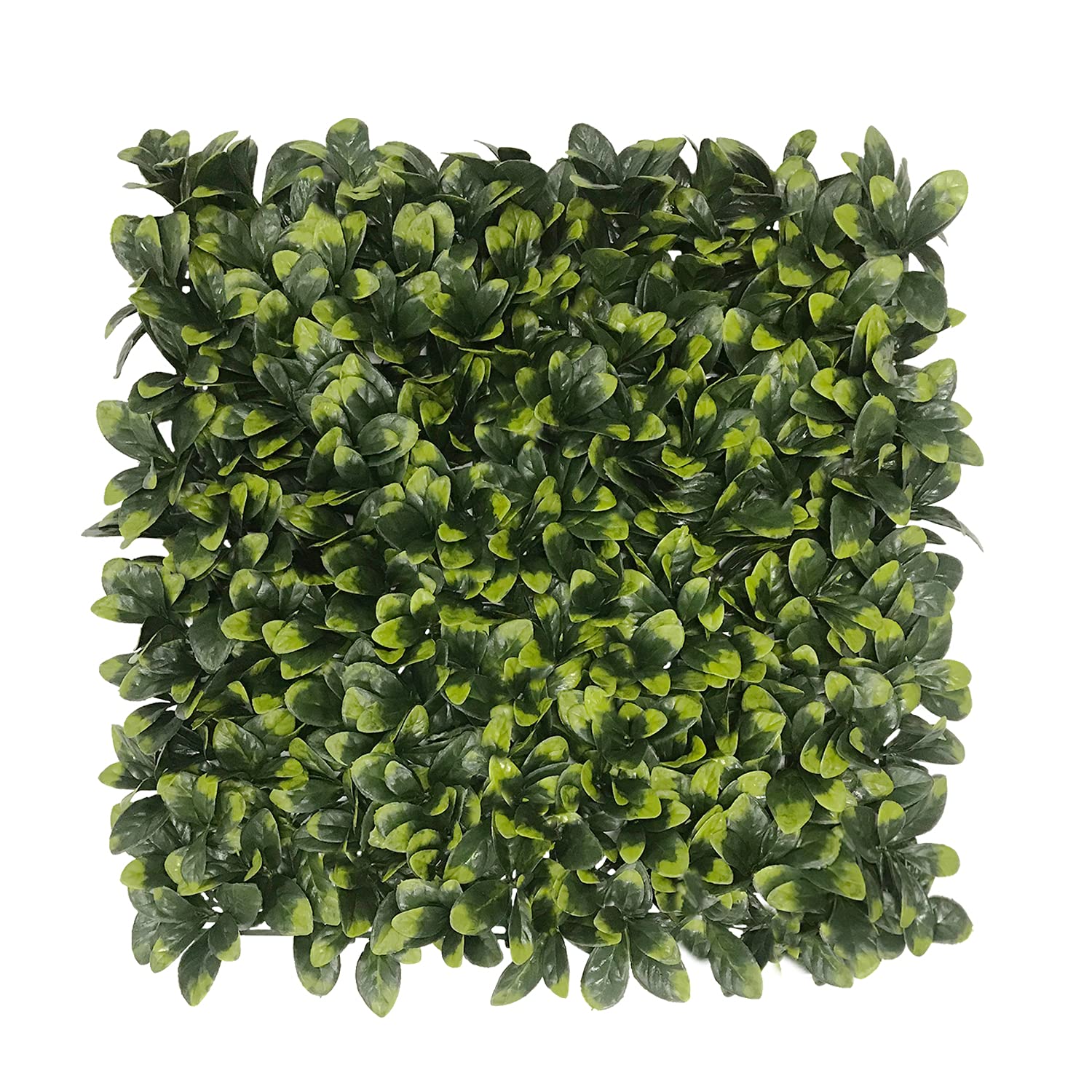 Artificial Boxwood Hedge Panels (8 Pack) - 20