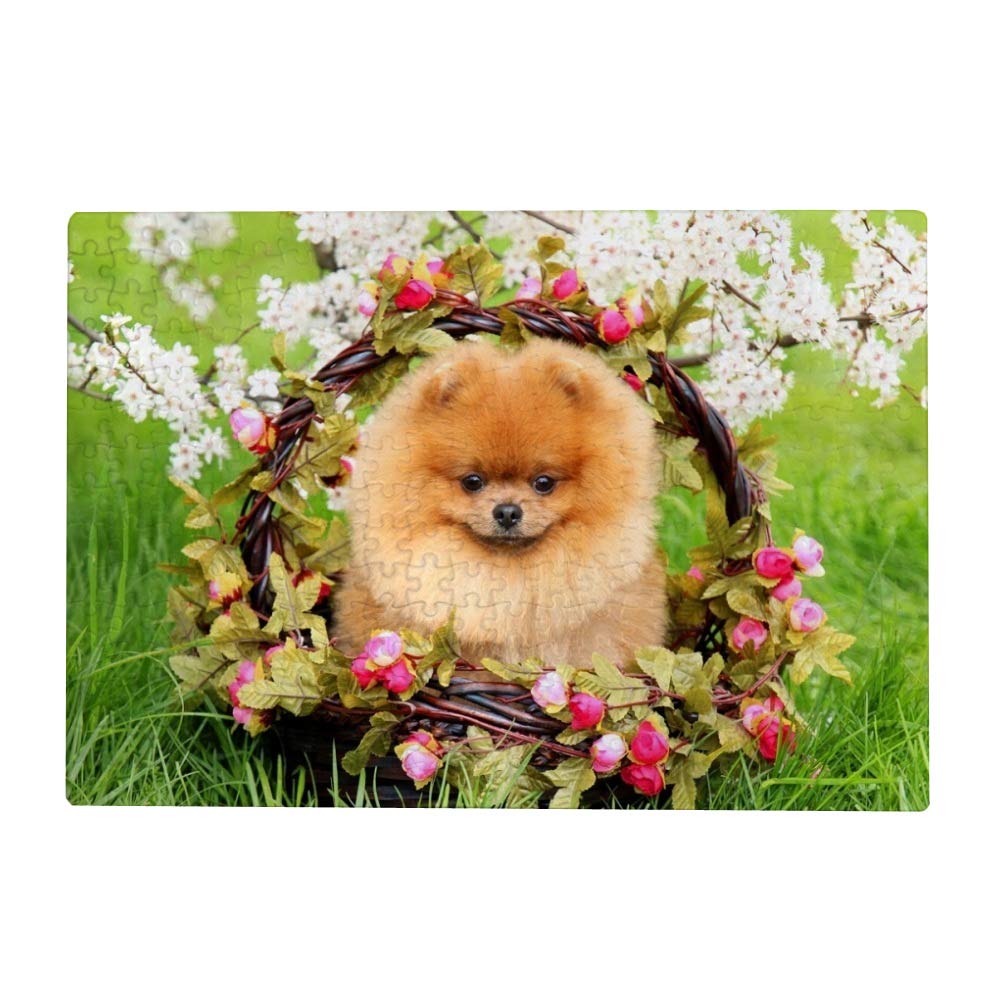 ColourLife 300/500/1000 Piece Wooden Jigsaw Puzzle - Pomeranian Dog in Basket Artwork, Fun & Challenging Puzzle Game for Adults & Teens - Perfect for Family Game Night, Stress Relief & Home Decor