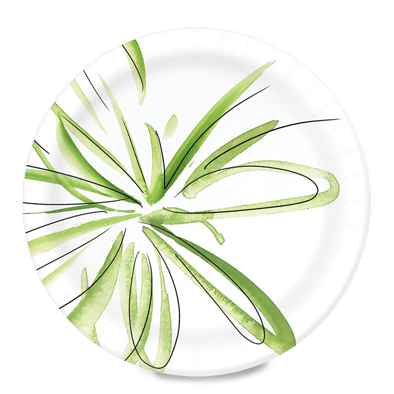 Amazon Basics 10 Inch Disposable Paper Plates - 150 Count, Heavy Duty & Eco-Friendly for Parties, BBQs, Picnics & Everyday Use