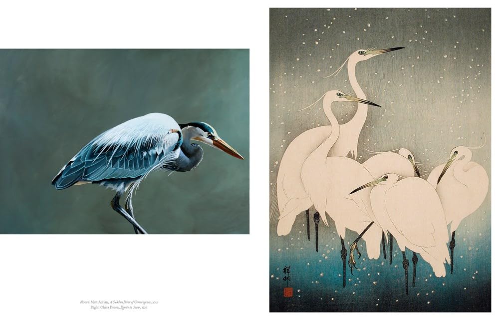 The Book of Birds: Stunning Bird Art for Home Decor & Gifts | Beautiful Avian Paintings & Illustrations for Nature Lovers, Wall Art & Coffee Table Books