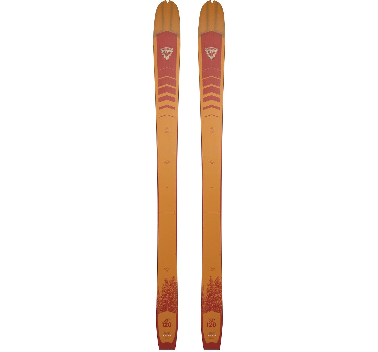 Rossignol XP 120 Positrack Ski Boots - Men's All-Mountain Performance Ski Boots for Comfort & Control on Powder & Groomed Runs | Perfect for Alpine Skiing & Backcountry Adventures