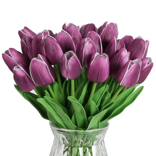 24pcs-plum