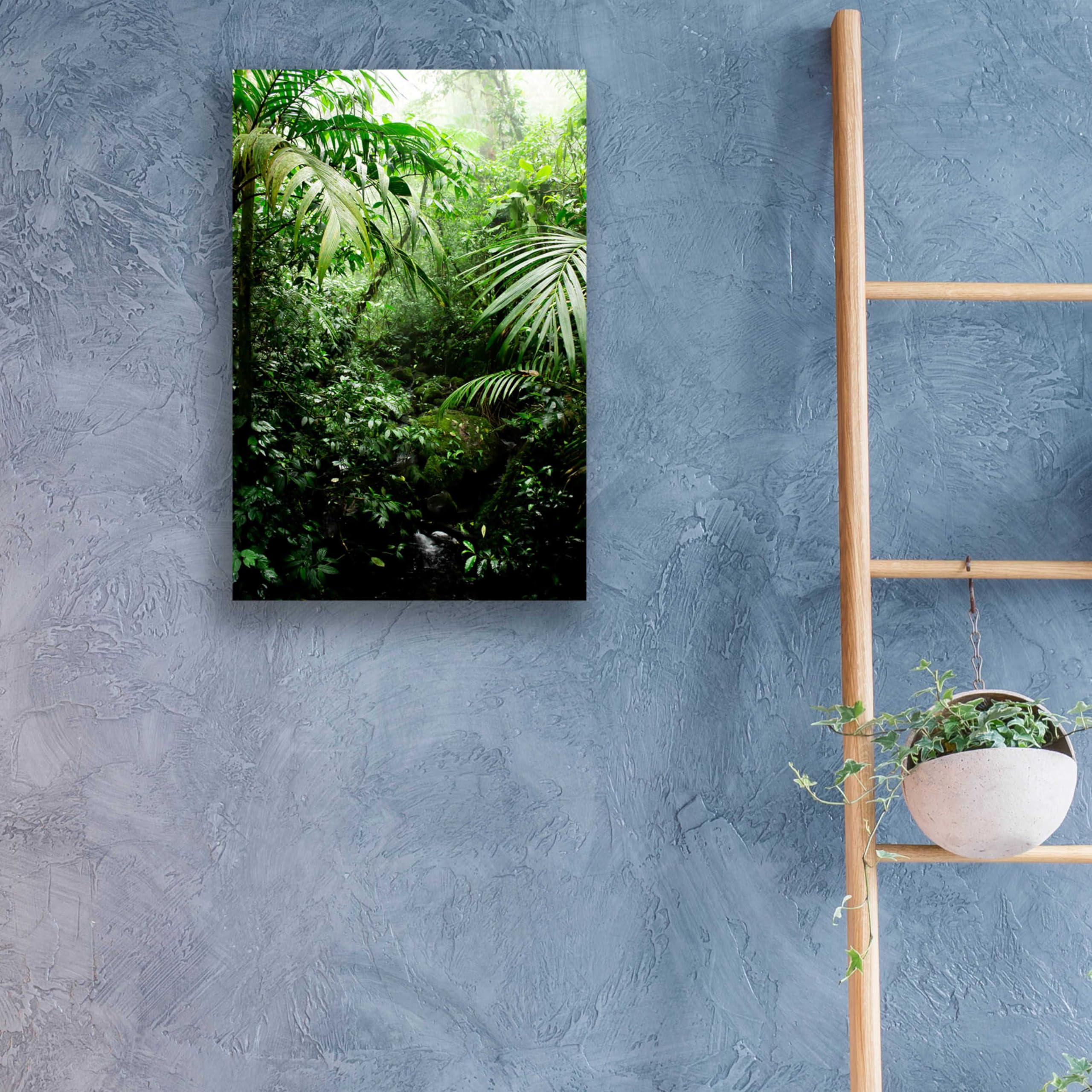 Nicklas Gustafsson 'Misty Rainforest Creek' Acrylic Glass Wall Art - 16x24 Inches Modern Nature Painting for Living Room, Bedroom & Office Decor