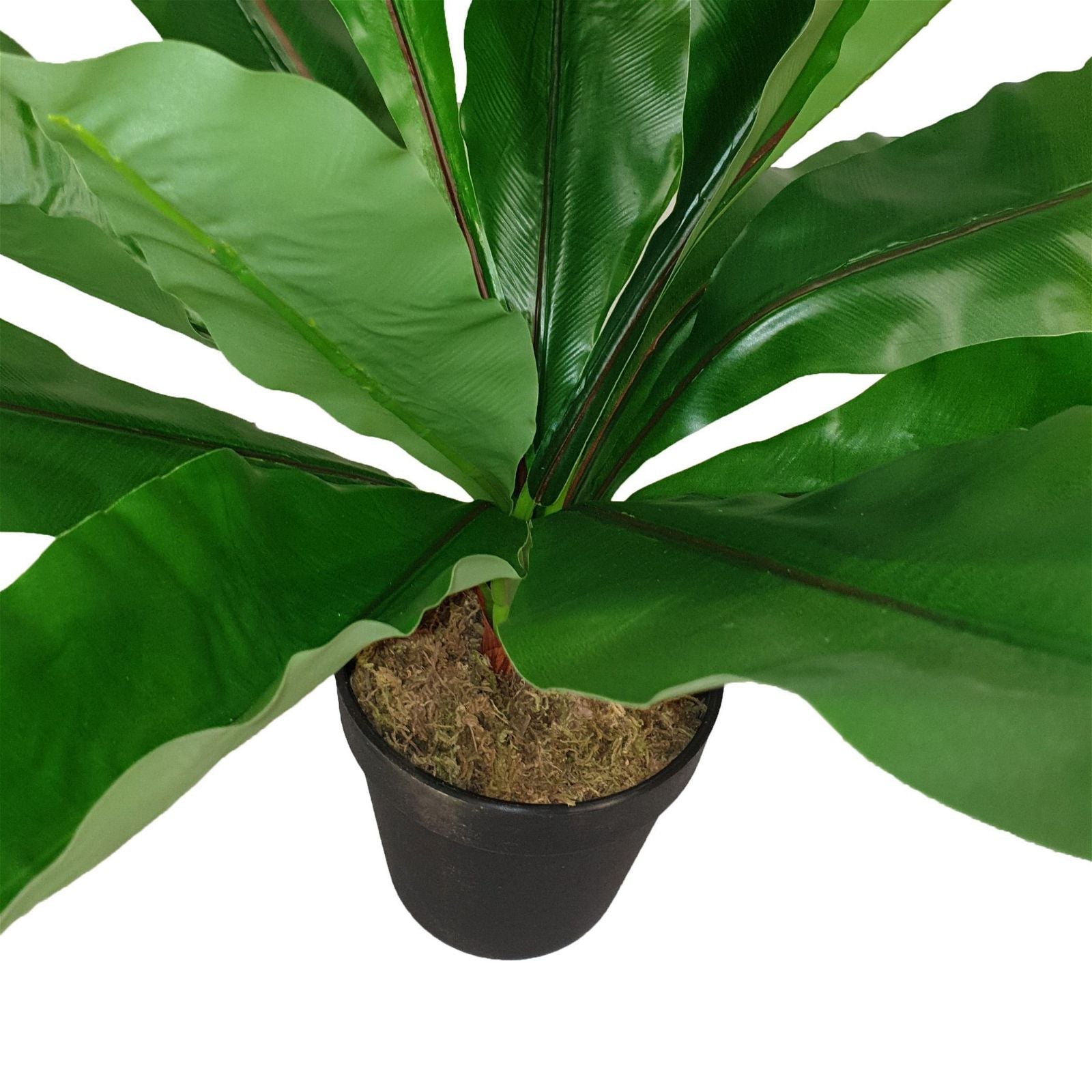 43cm Broad Leaf Artificial Plant by Criterion - Perfect for Home Office Decor, Living Room Greenery & Indoor Plant Styling