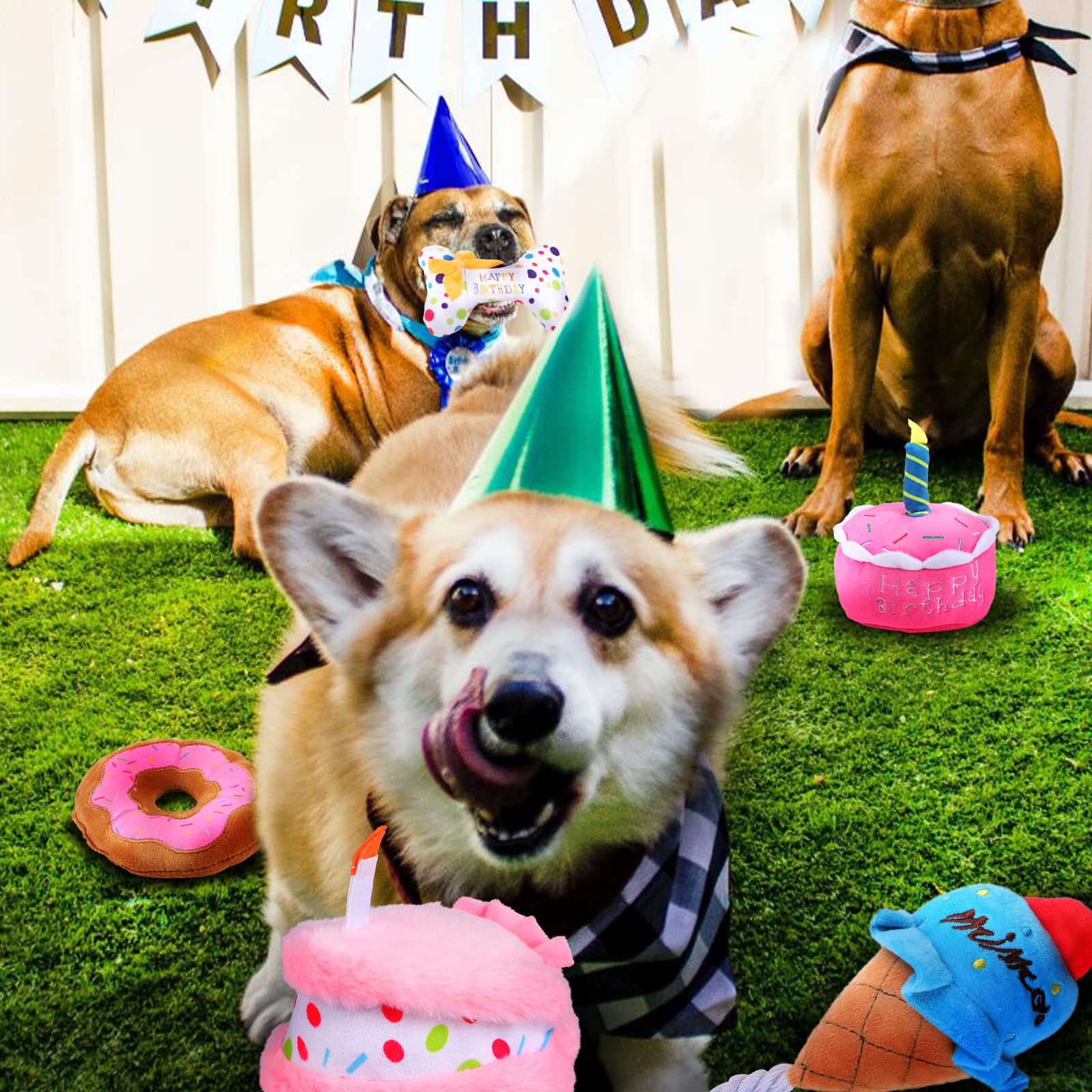 DoreenBow 5 Pack Squeaky Dog Chew Toys - Puppy Teething Plush Birthday Cake Toys for Small Dogs | Perfect Gift Box for Dog Birthday Parties & Puppy Playtime