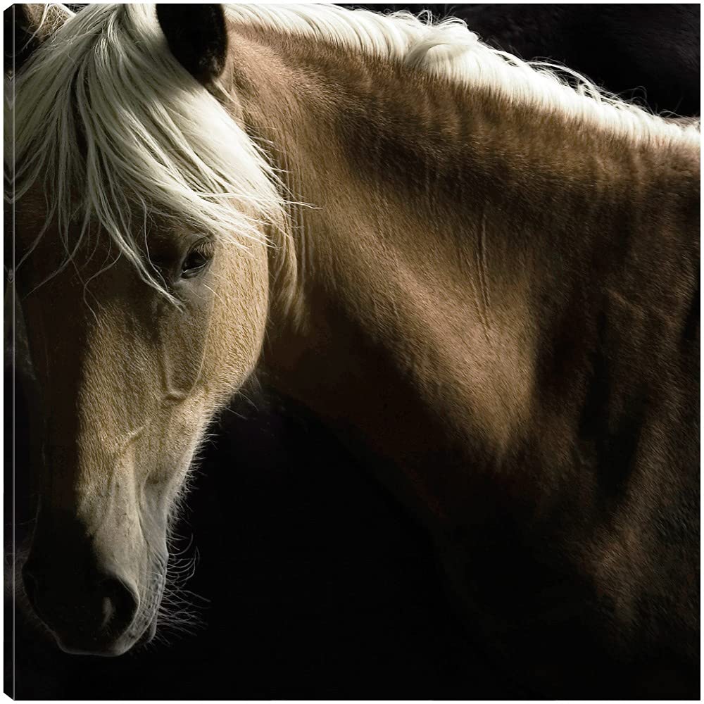 Spirit Horse Canvas Wall Art Print by Tony Stromberg - 22x22 Inches Ready to Hang - Modern Home Decor for Living Room, Bedroom, Office & More - Perfect for Western Theme, Meditation Space & Gift Giving