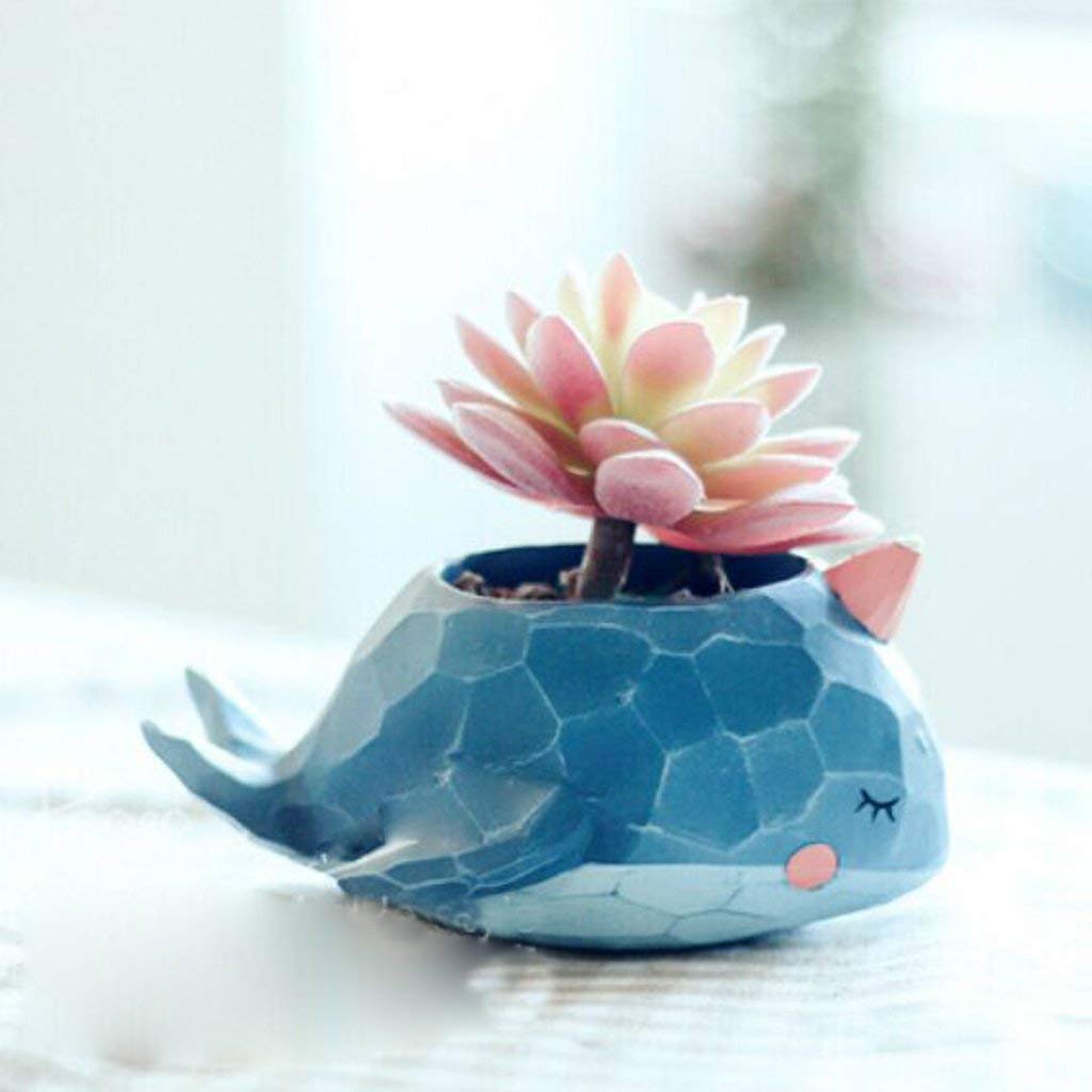 Whale Shaped Succulent Planter - Cactus Flower Pot for Sedum & Herbs, Decorative Table Trough Box for Home, Office, and Garden Decor - Perfect for Indoor Plants, Windowsills, and Gift Ideas