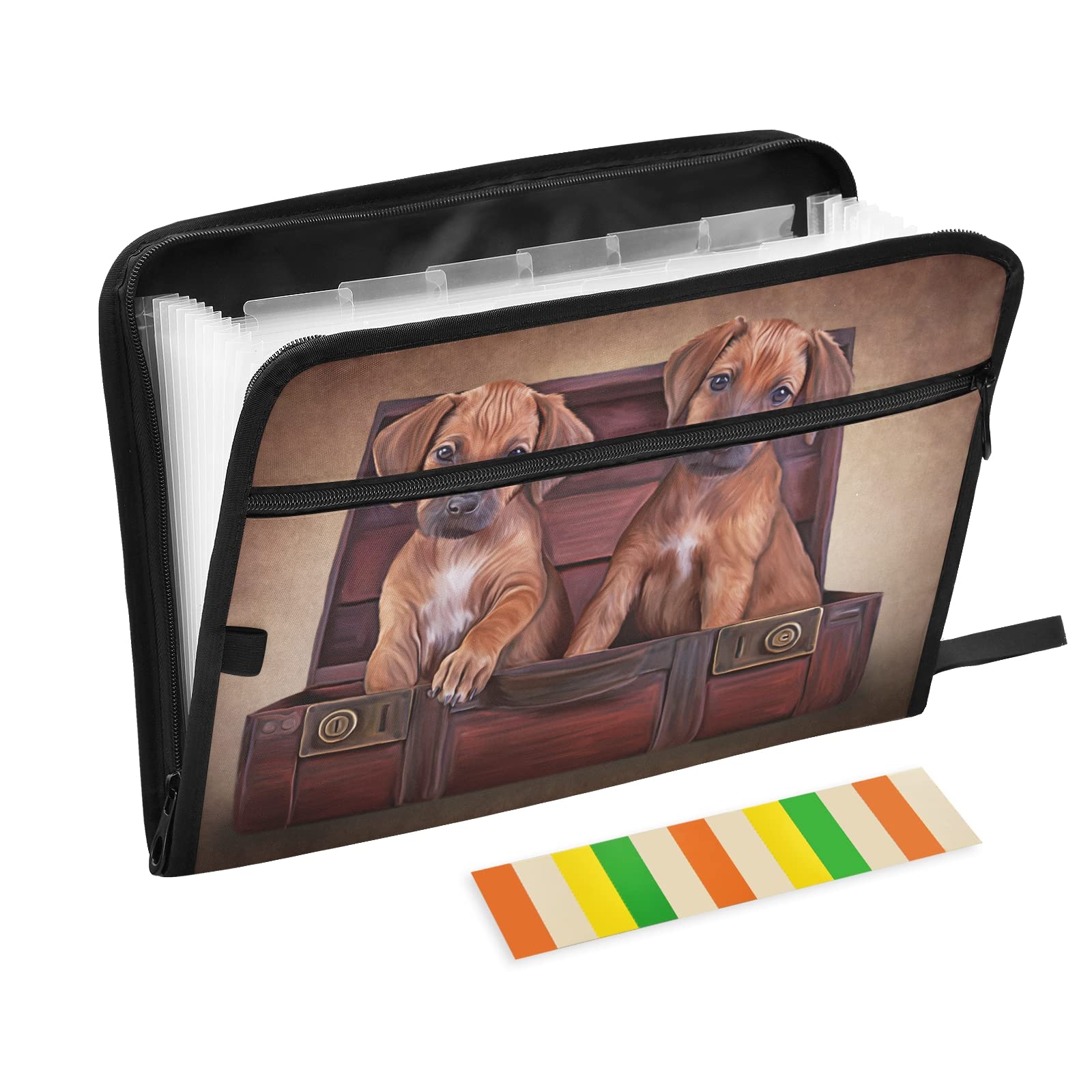 UMIRIKO 13-Pocket Expanding File Folder with Sticky Labels - A4 Letter Size Accordion Document Organizer with Zipper Closure - Perfect for Office, School, Home Organization & Pet Records (20220770)
