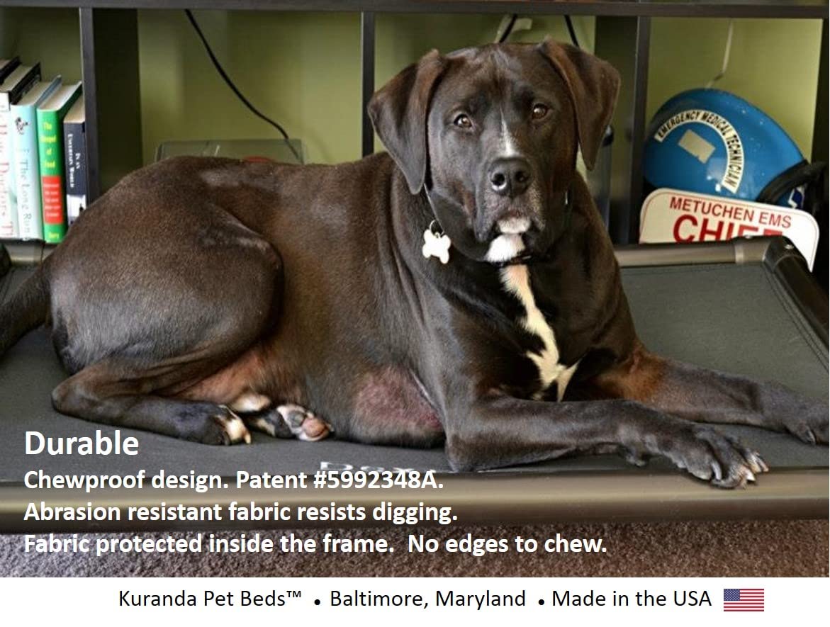 Kuranda Chewproof Dog Bed - Heavy Duty PVC Frame, 44