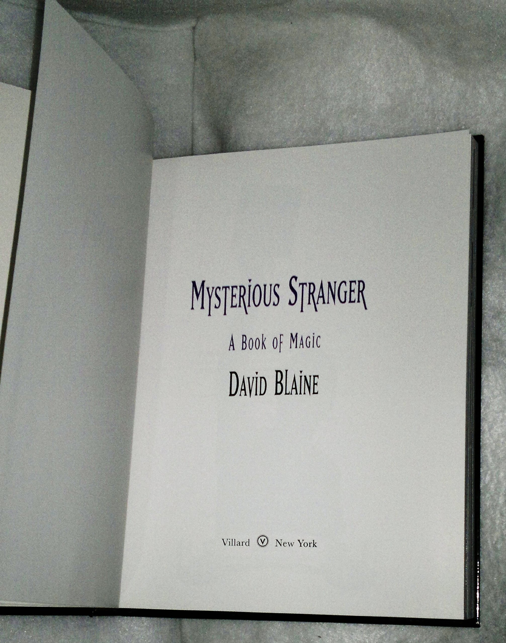Mysterious Stranger: A Book of Magic Spells & Enchantments - Perfect for Wicca Practitioners, Pagan Rituals & Fantasy Lovers