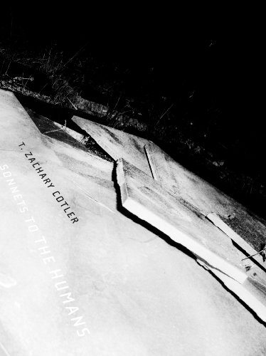 Sonnets to the Humans - Award-Winning Poetry Collection | Sawtooth Poetry Prize Winner | Perfect for Book Clubs, Literary Gifts & Poetry Lovers