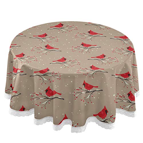 B Cardinals Winter
