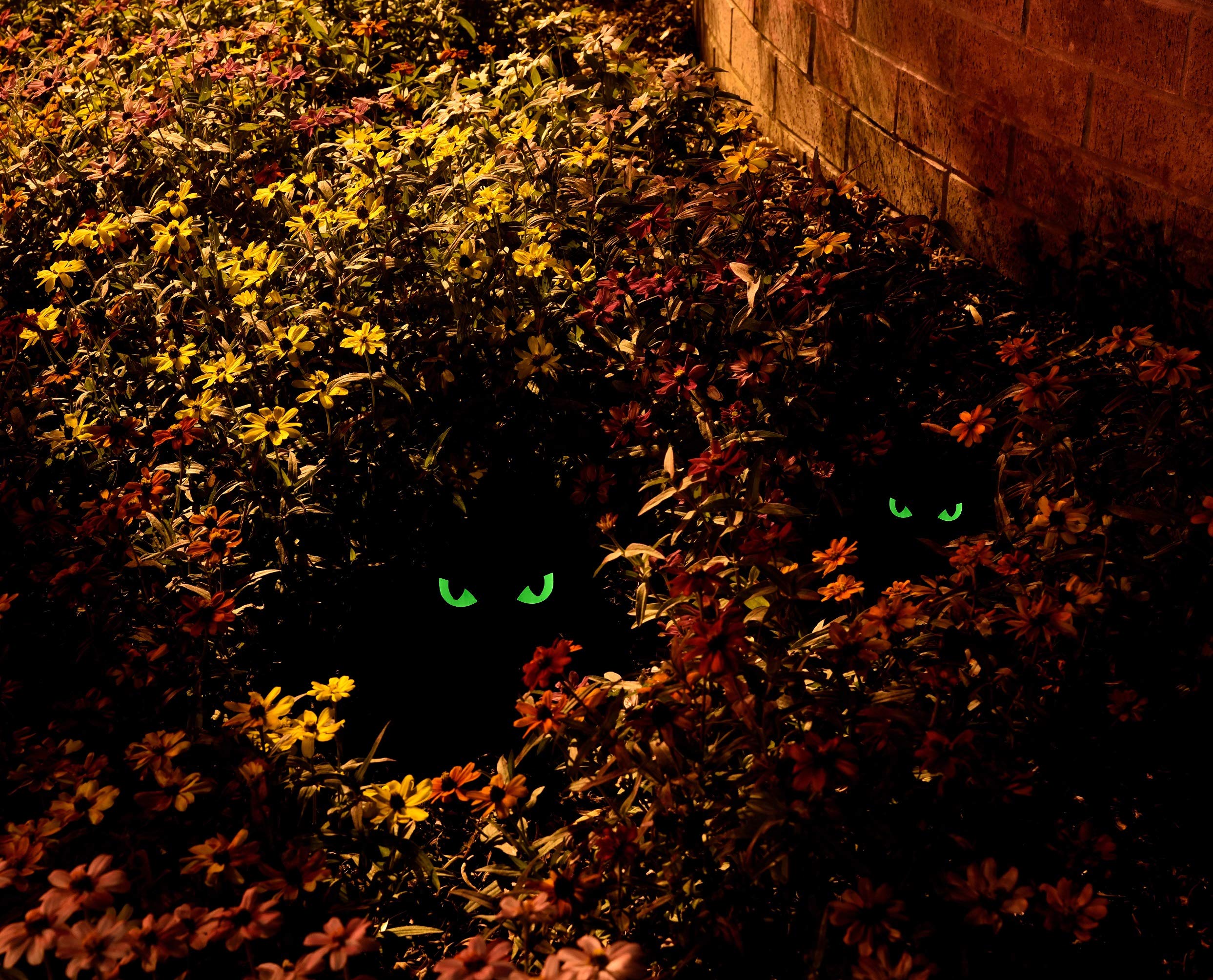 24 Pack Cat Eyes LED Glowing & Blinking Halloween Decorations - Spooky Party, Yard, Window & Home Decor for Trick or Treat