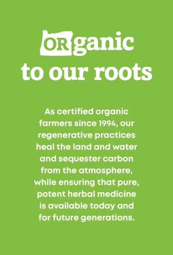 Organic Raw Maca Root Capsules 90 Count | Vegan, Non-GMO, Gluten-Free | Energy & Stamina Booster for Men & Women | Supports Hormonal Balance & Stress Relief | Perfect for Athletes, Busy Professionals & Wellness Enthusiasts