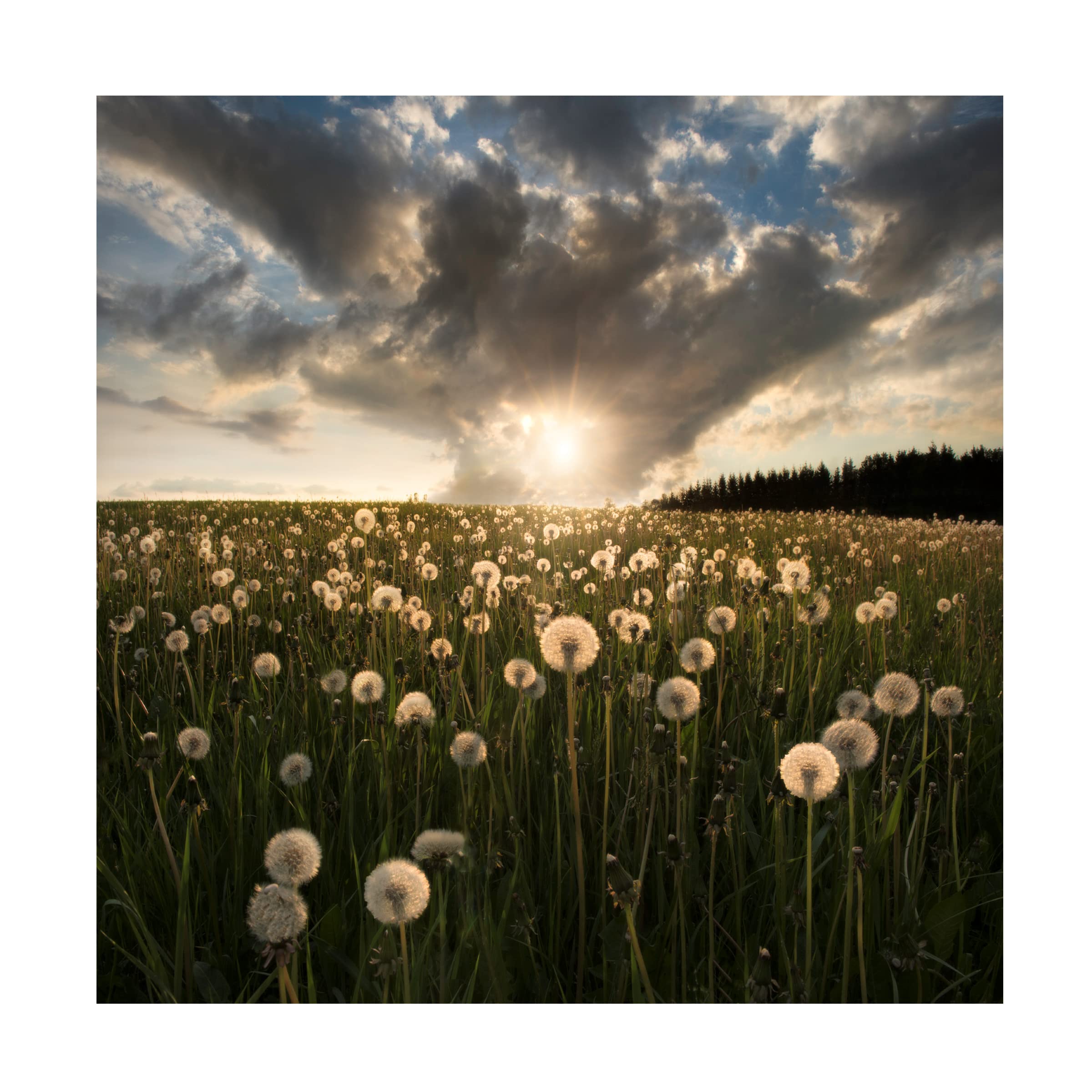 Trademark Fine Art 'Lightbulbs' Canvas Wall Art Print by Christian Lindsten - Modern Home & Office Decor for Living Room, Bedroom or Workspace