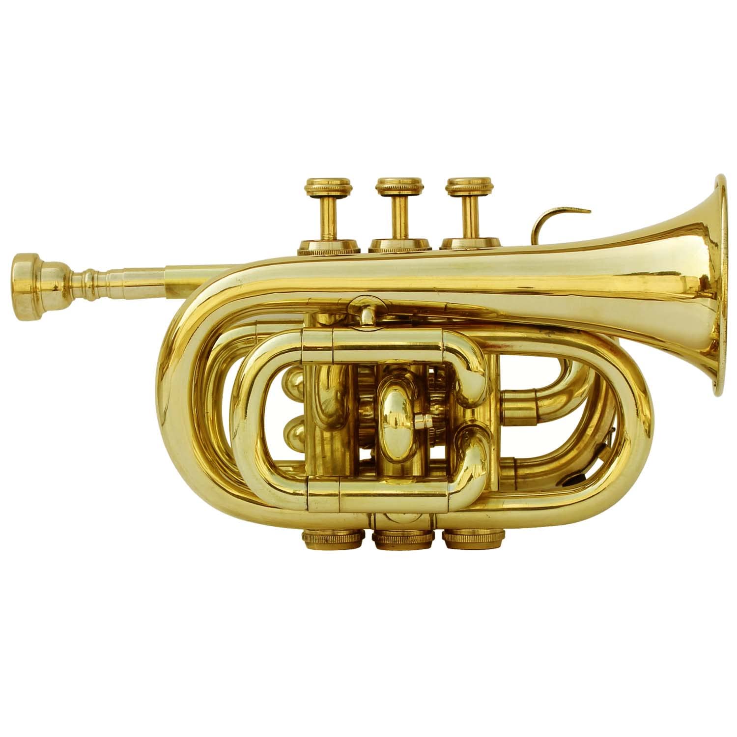 Professional Bb Pocket Trumpet Brass Instrument with Free Hard Case & Mouthpiece - Perfect for Beginners, Travel & Practice | Best Musical Gift for Students & Jazz Enthusiasts