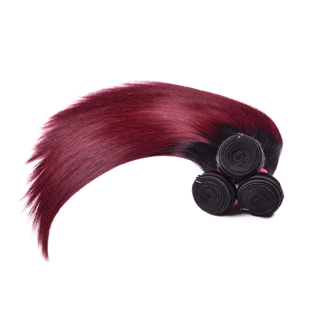 WOME Ombre Burgundy Peruvian Human Hair Bundles - Silky Straight 16