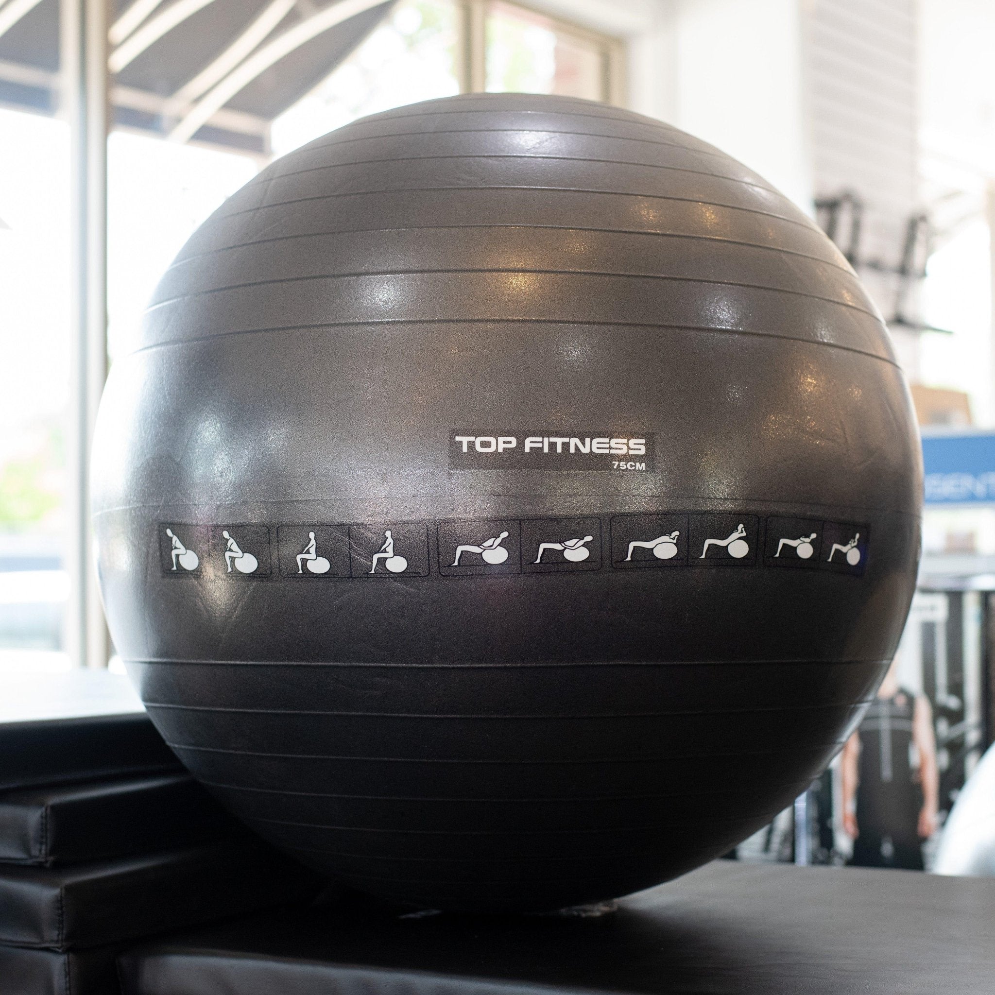 Premium Anti-Burst Stability Ball for Yoga, Pilates & Home Workouts - Heavy Duty Exercise Ball for Core Strength & Balance Training - Ideal for Gym, Office & Physical Therapy