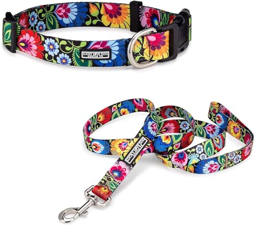 Blackbird Collar/Leash Combo