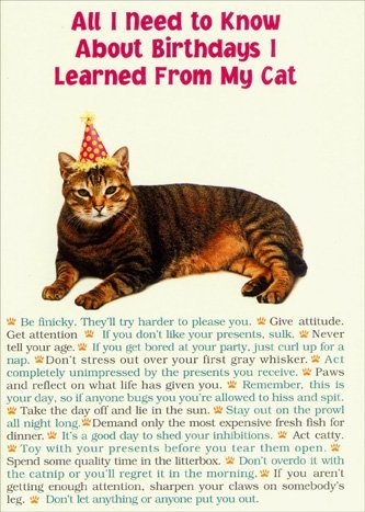 Funny Cat Birthday Card with Portal Design - Perfect for Cat Lovers & Gamers - Great Gift for Birthdays, Parties & Special Occasions