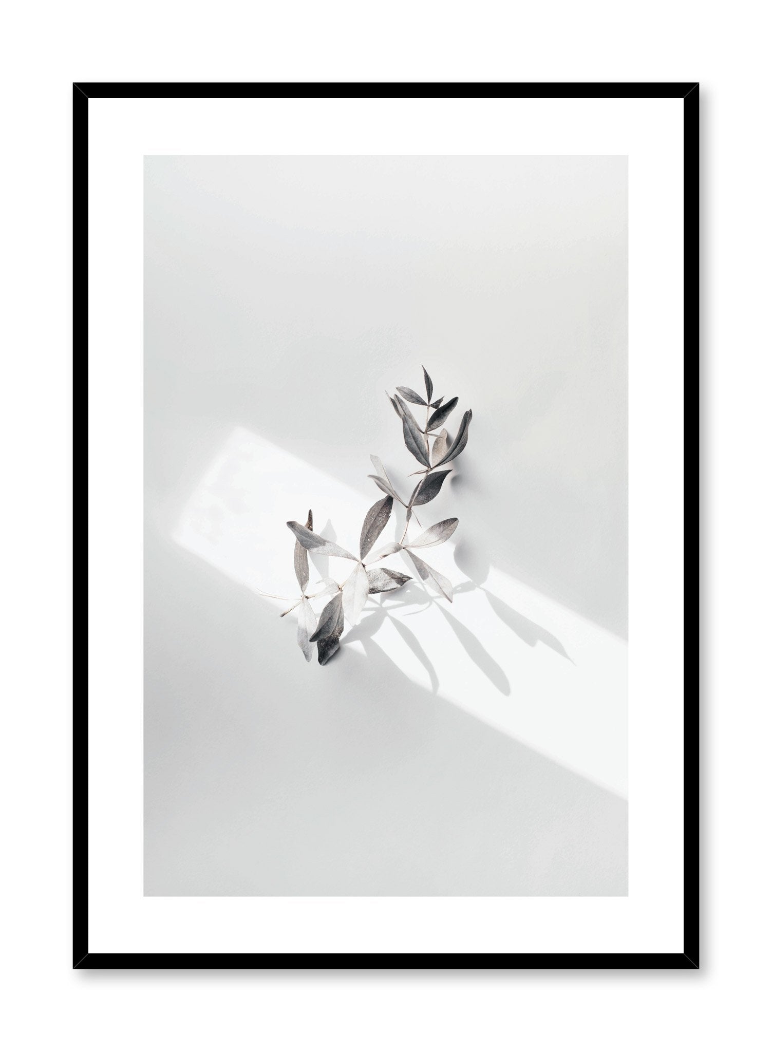 Spotlight Poster - Premium Quality Wall Art for Home & Office Decor - Perfect for Living Room, Bedroom, or Gift Giving