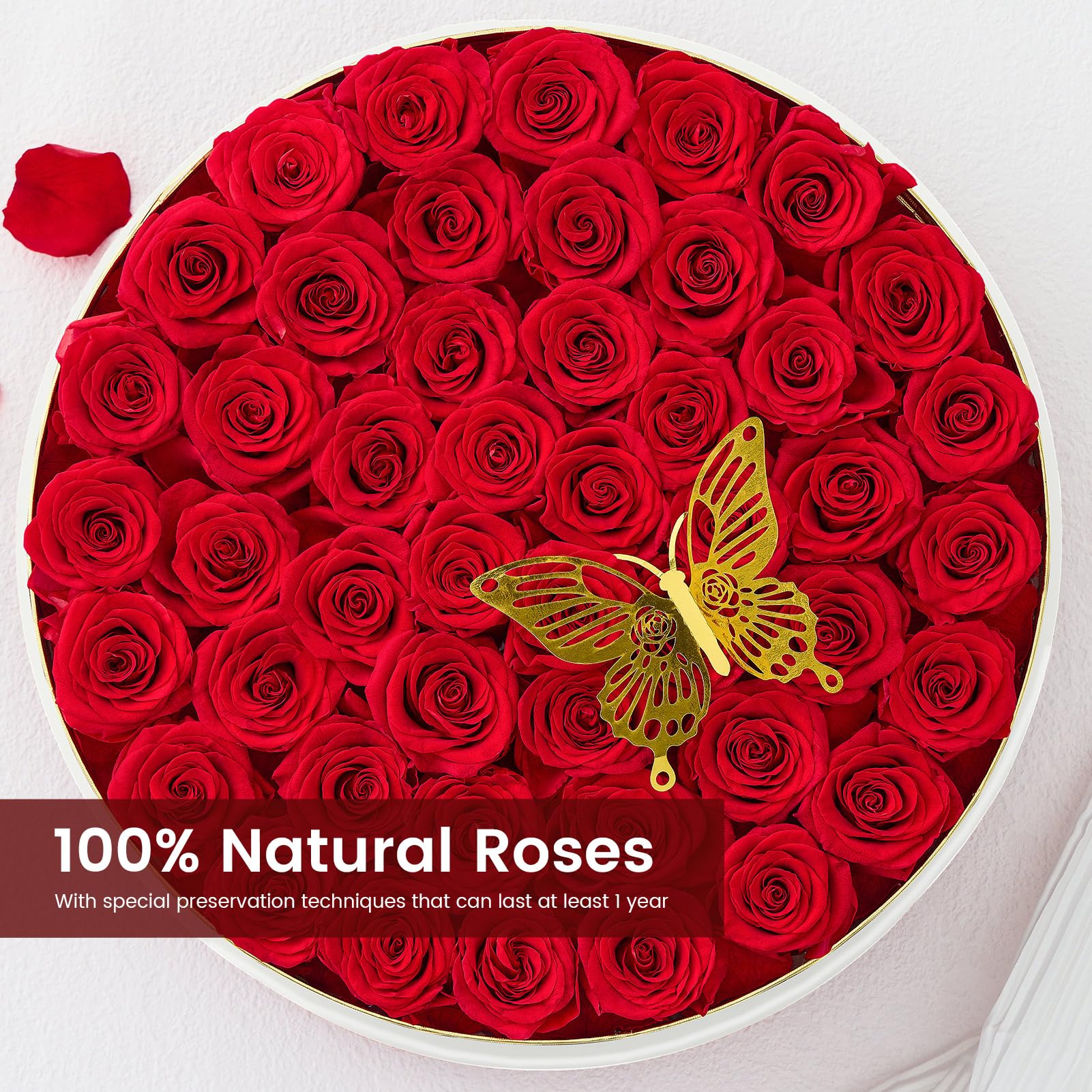 47 Piece Preserved Roses in a Box - Eternal Fresh Red Roses for Mother's Day, Birthday, Valentine's Gift for Women, Wife, Mom | Home Decor, Wedding Centerpiece, Romantic Surprise