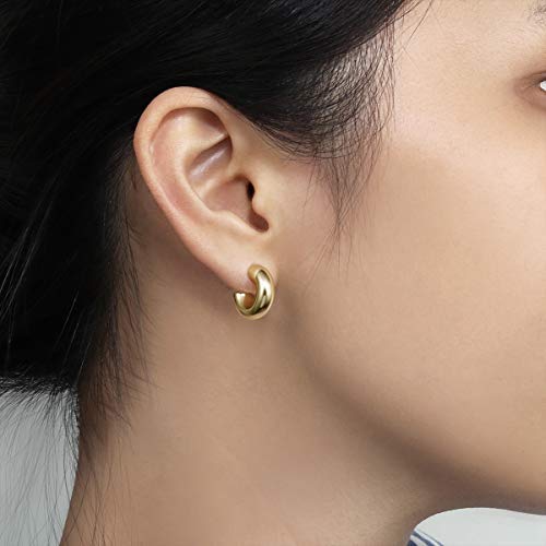 14K Gold Plated Chunky Mini Hoop Earrings for Women - Small Thick Gold Hoops, Perfect for Everyday Wear, Parties & Gifts