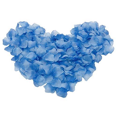 Light Blue Plus Dark Blue