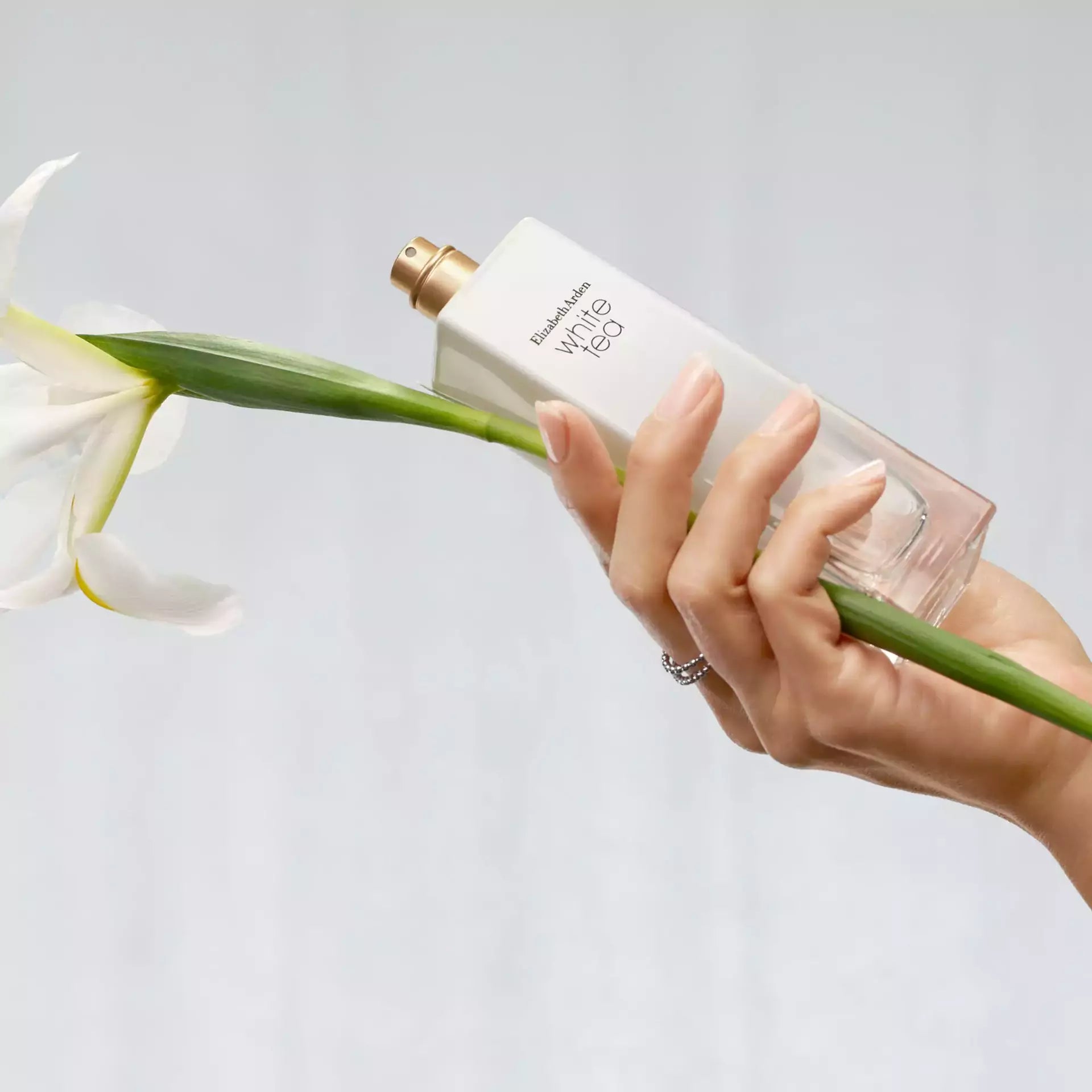 White Tea Eau de Toilette Spray for Women - Fresh Floral Fragrance Long Lasting Perfume | Perfect for Daily Wear, Office & Date Night