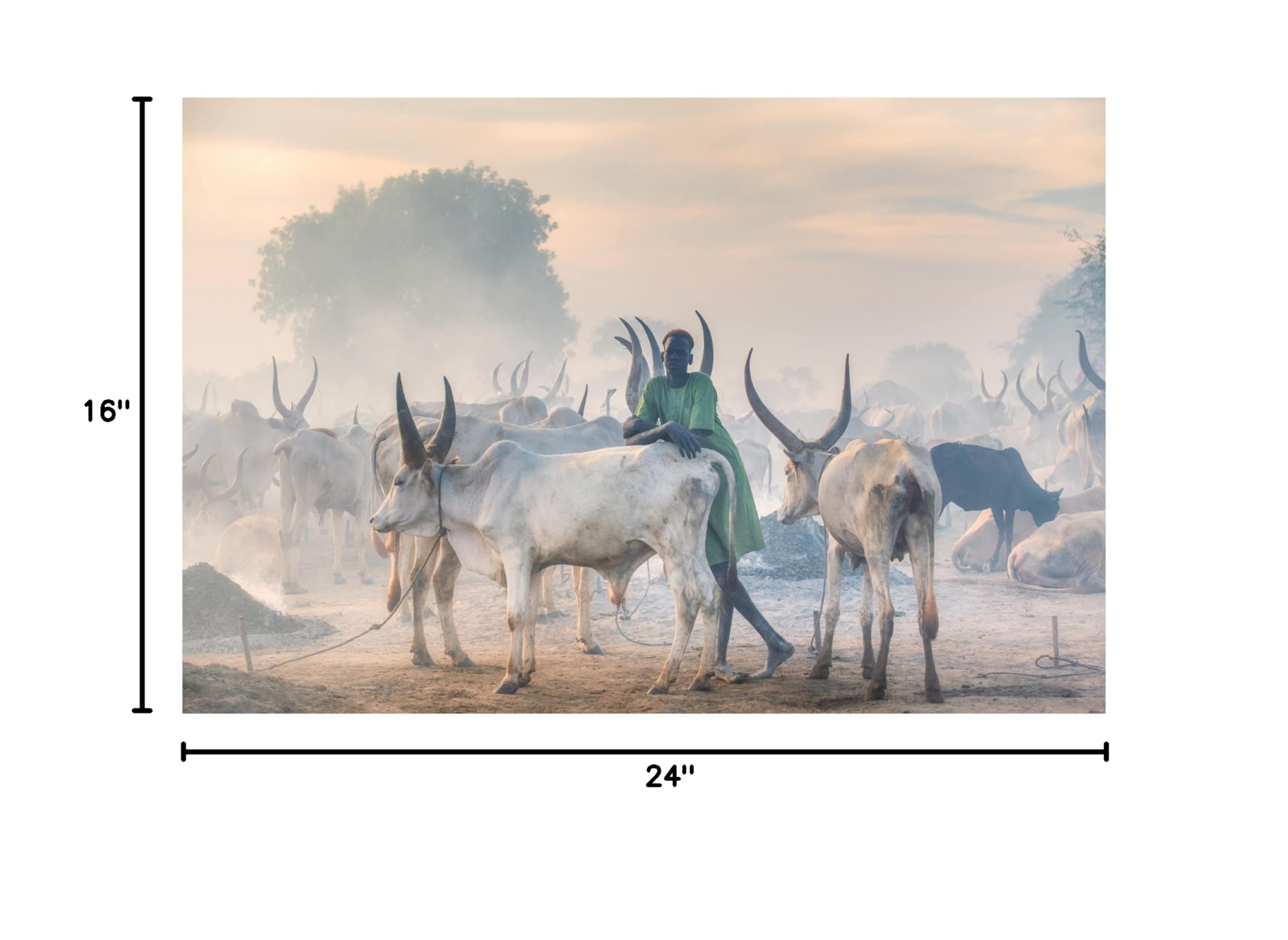 Trademark Fine Art 'Dinka Herder' Canvas Wall Art by Trevor Cole - African Tribal Decor for Living Room, Bedroom & Office