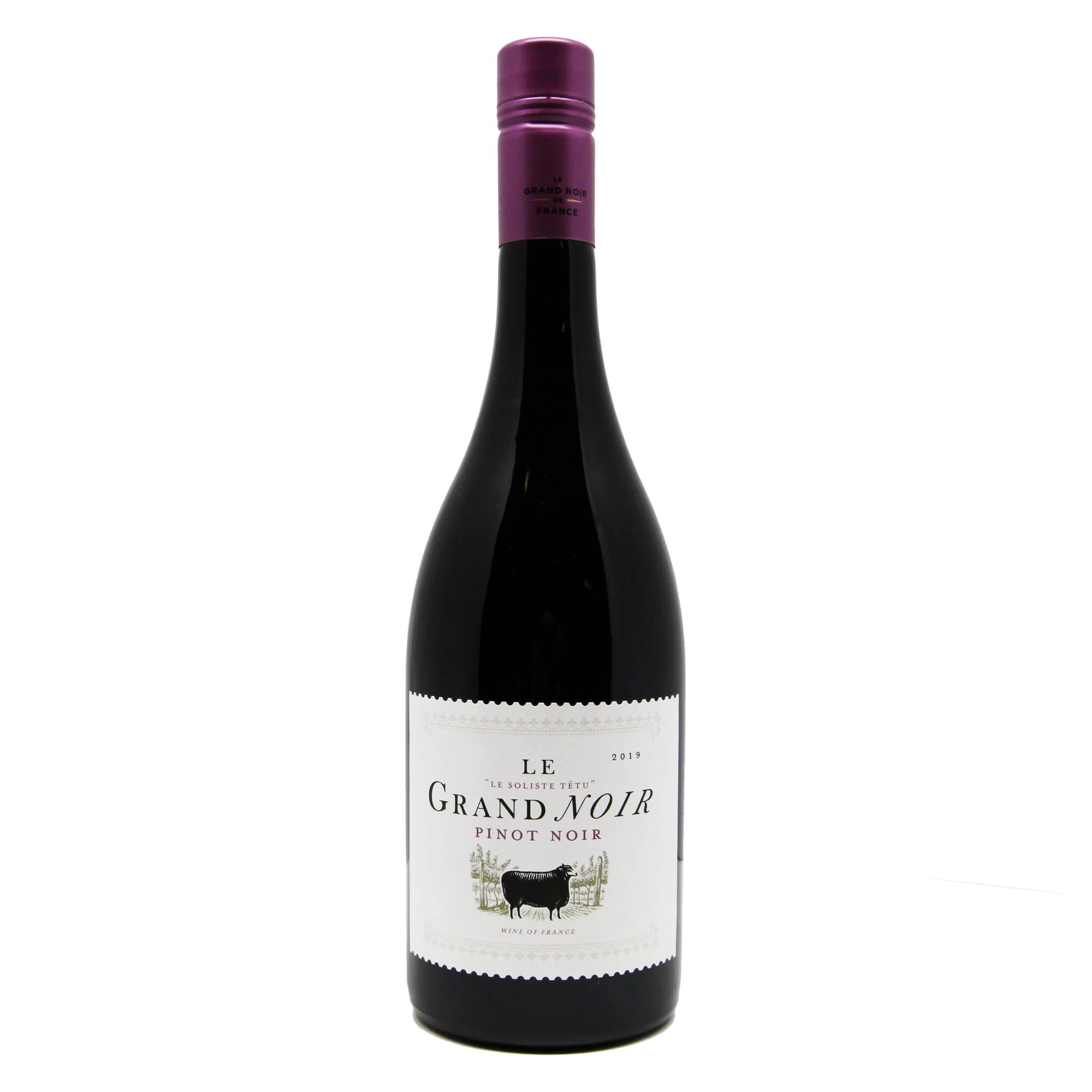 Le Grand Noir Pinot Noir 2019 Red Wine - Premium French Pays d'Oc (750ml) - Perfect for Dinner Parties & Romantic Evenings