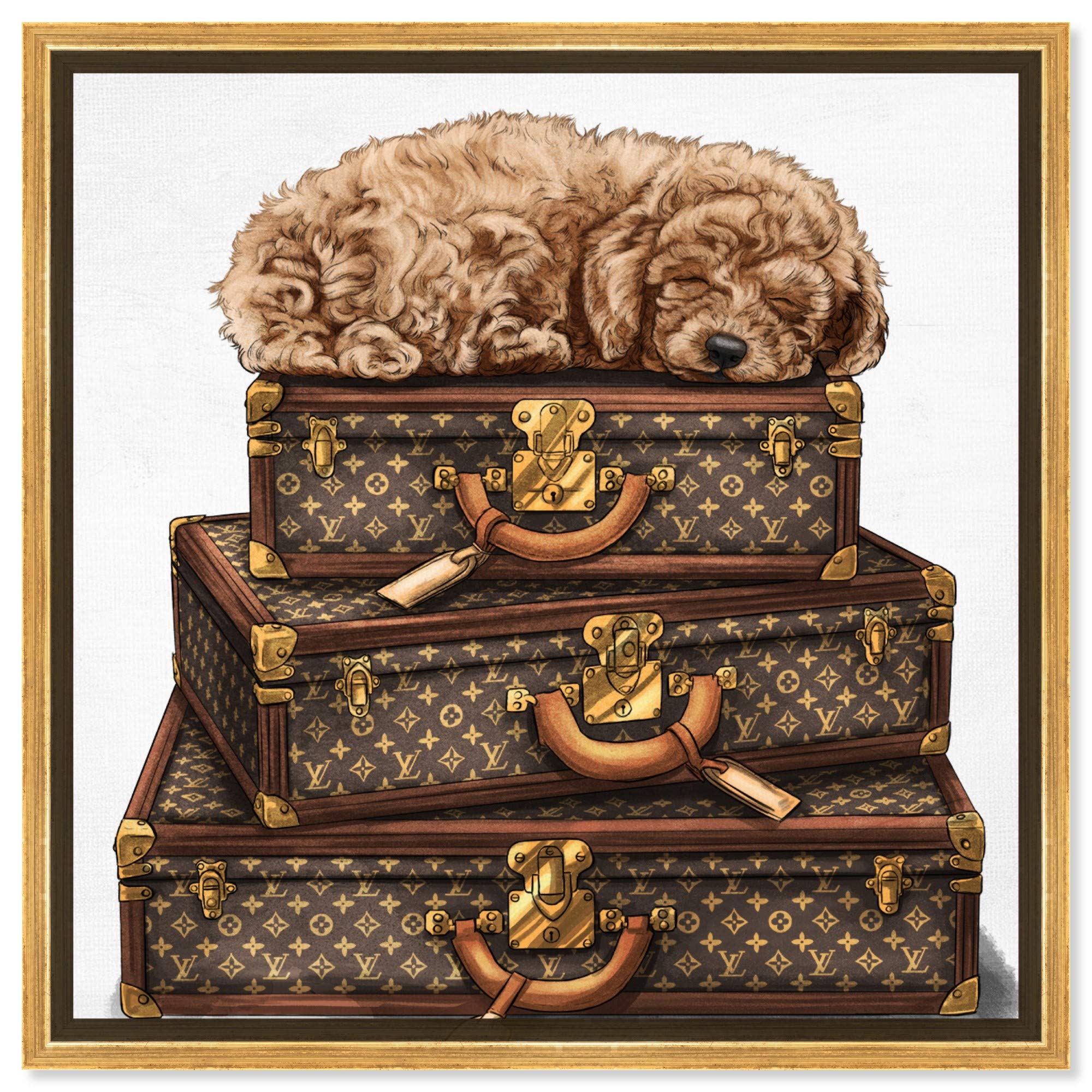 Oliver Gal Artist Co. 'Sleeping Poodle' Framed Wall Art - 30x30 Inch Brown & White Canvas Print - Fashion & Glam Home Decor for Living Room, Bedroom, Office
