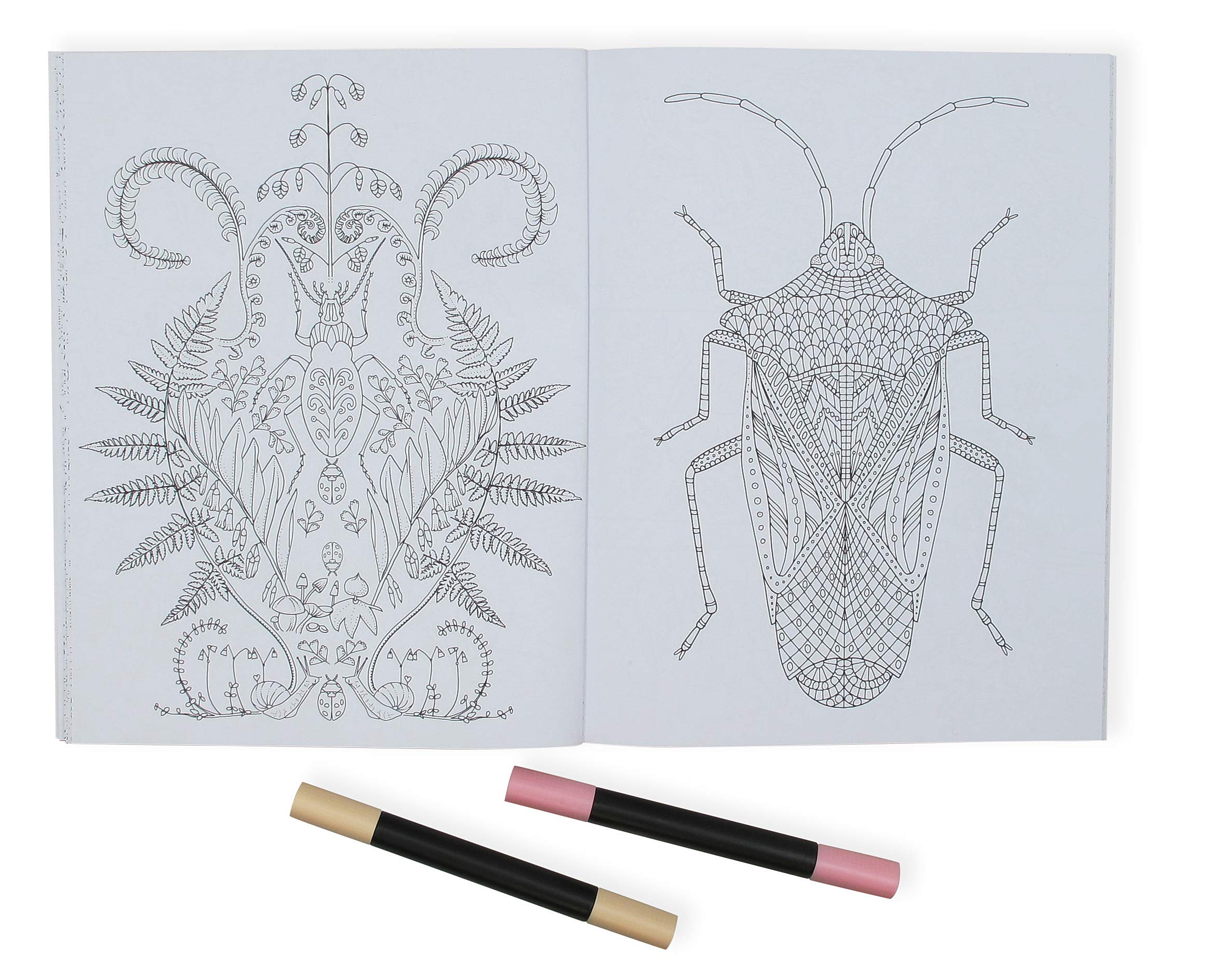 Wonderful Insects Coloring Book for Kids & Adults - Creative Relaxation & Educational Fun | Perfect for Classroom, Home & Gifts