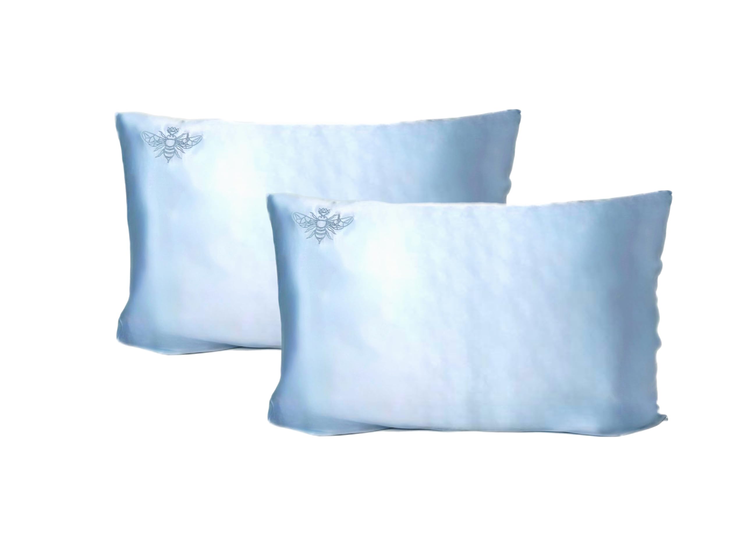 QUEEN BEE SILK - 2 Pack 22 Momme Mulberry Silk Pillowcase Set for Hair & Skin Care - King Size with Envelope Closure - Charmeuse Weave in Sky Blue - Perfect for Beauty Sleep & Travel