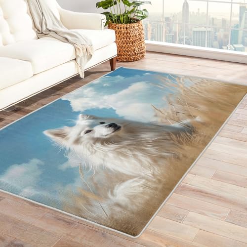 Samoyed