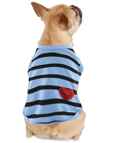 Blue-Vest