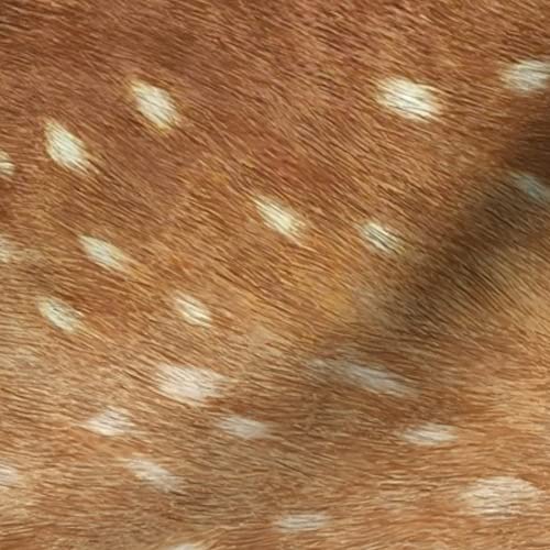 Soft Deer Hide Spring Fawn Railroad Skin Animal Willow Printed Chiffon Fabric by The Yard - Premium Spoonflower Fabric for Sewing, Fashion Apparel, Dresses & Home Decor - Perfect for DIY Projects, Quilting and Nursery Decor