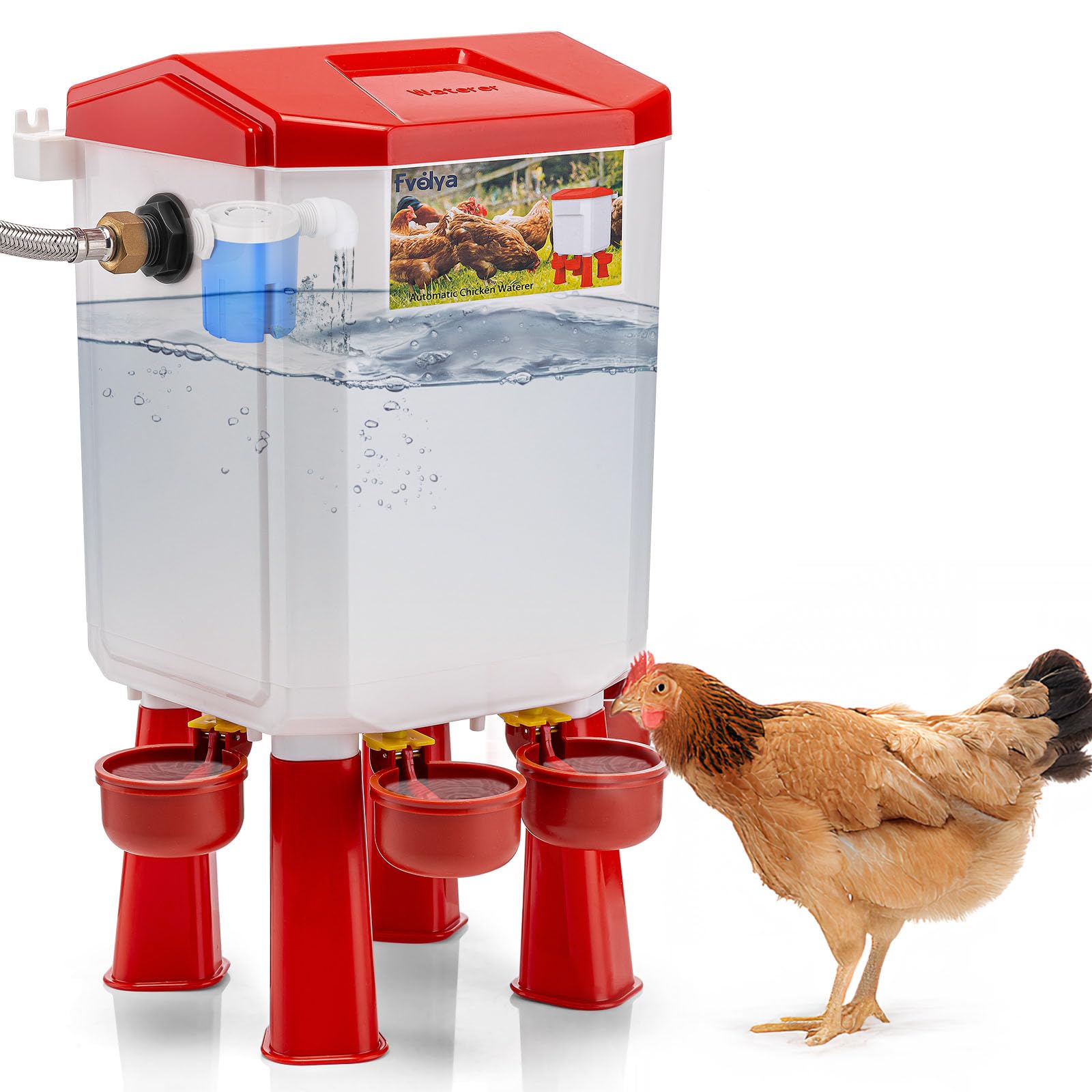 Automatic Chicken Waterer Kit - Filtered Float-Controlled Poultry Water Feeder with Stainless Steel Hose for Large Chicken Coops | Perfect for Backyard Farms, Homesteads & Poultry Raising