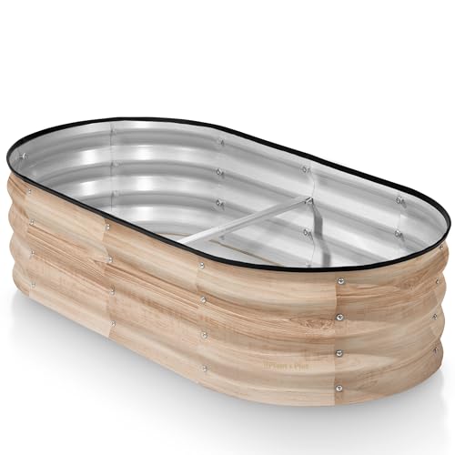 Natural Wood Grain