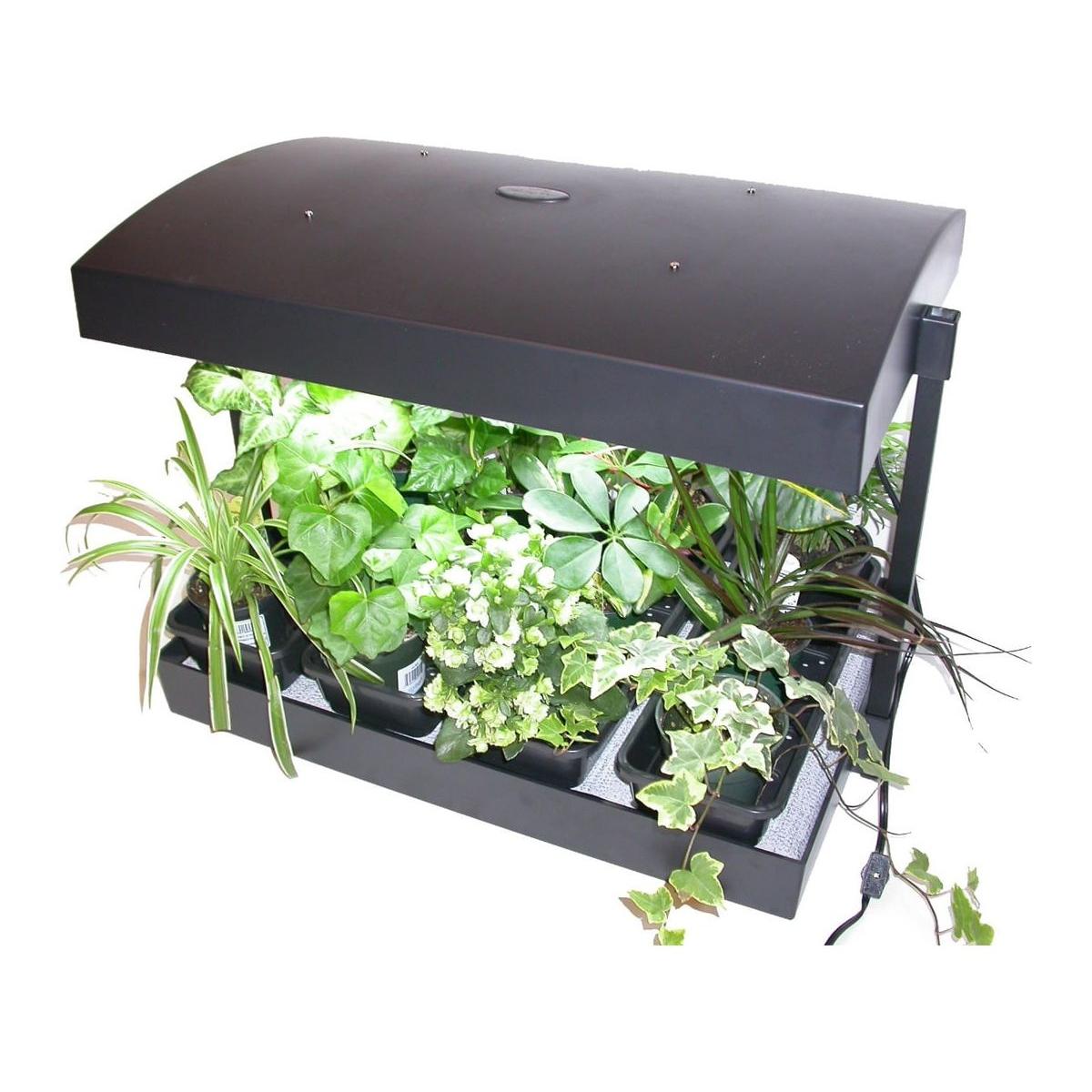 SunBlaster T5 Grow Light Garden - High Efficiency Full Spectrum LED Plant Light for Indoor Hydroponics, Seedlings, and Greenhouse Gardening | Perfect for Home Herb Gardens, Succulents, and Veggie Growth