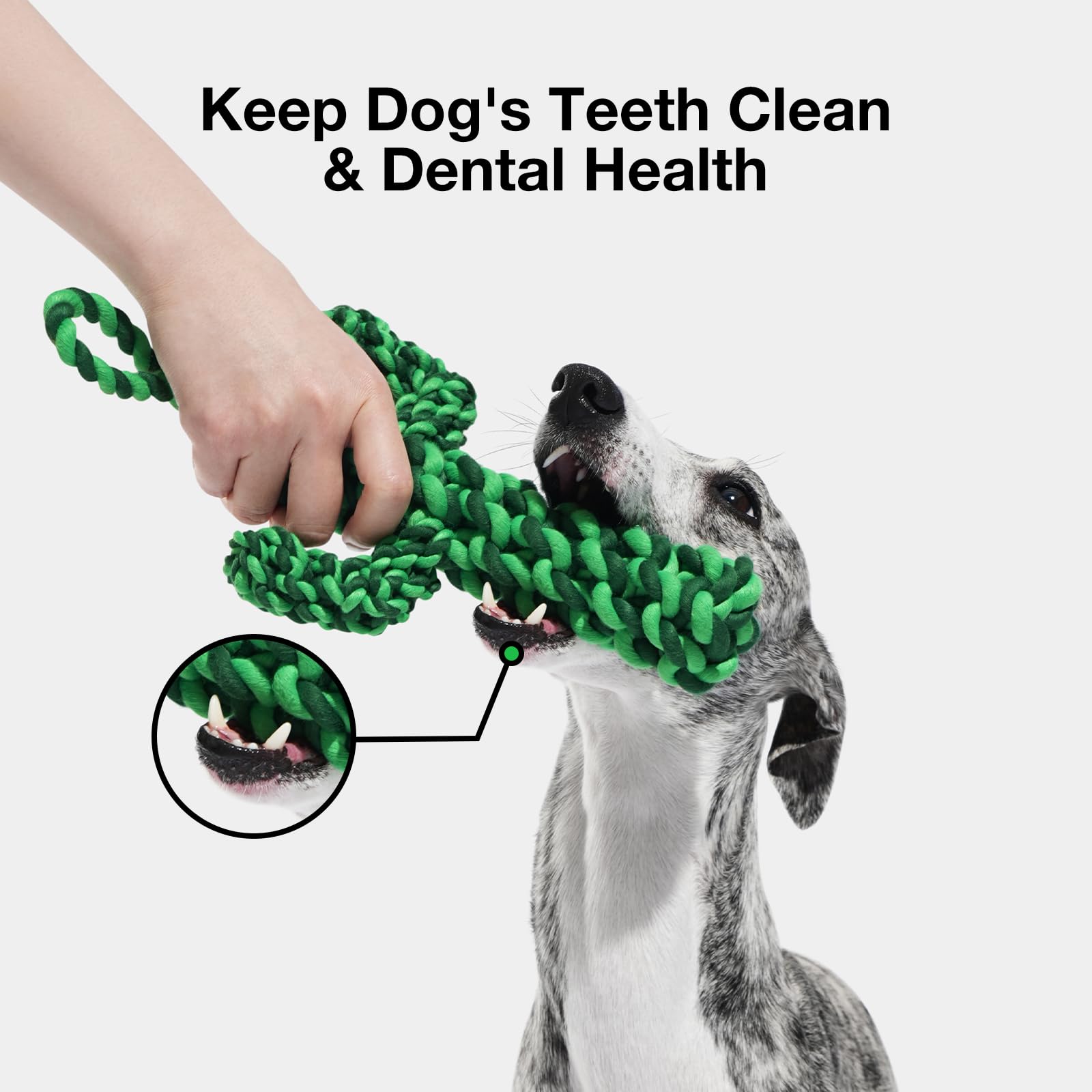 Durable Dog Rope Toys for Large Breed - Heavy Duty Tug of War Chew Toy with Ergonomic Grip | Puppy Training, Teething Relief & Interactive Play | Perfect Christmas Holiday Gift for Dogs (Cactus Design) - Great for Outdoor Play, Indoor Training & Bonding Activities